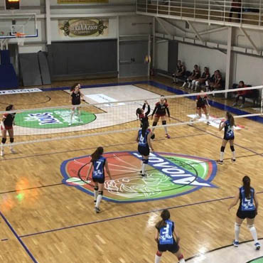 Volley